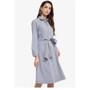 J. Crew Blue Striped Midi Dress